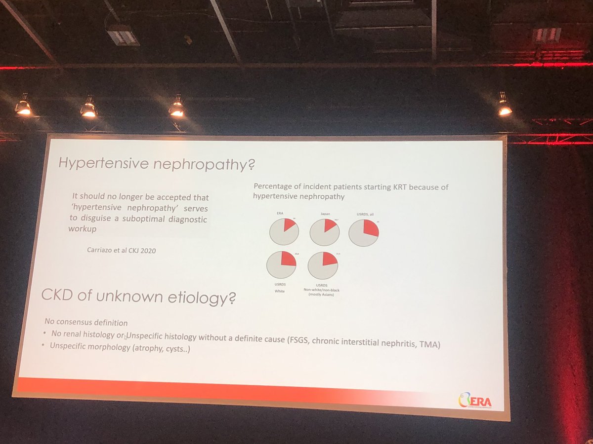 SabineKaram6's tweet image. Should the term Hypertensive Nephropathy still be used in the 21st century? @ERAkidney #ERA22 @torra_roser @LucileFigueres @ecorneclegall
