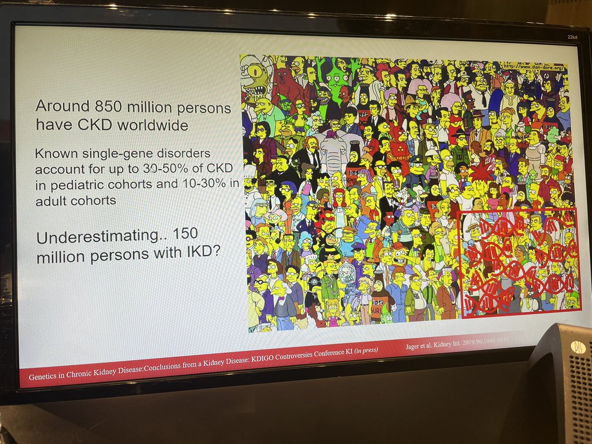 LucileFigueres's tweet image. @torra_roser Genetic diseases are rare disease but still a great number of patients worldwide ! @ERAkidney #ERA22 #Genera22 @womeninnephro