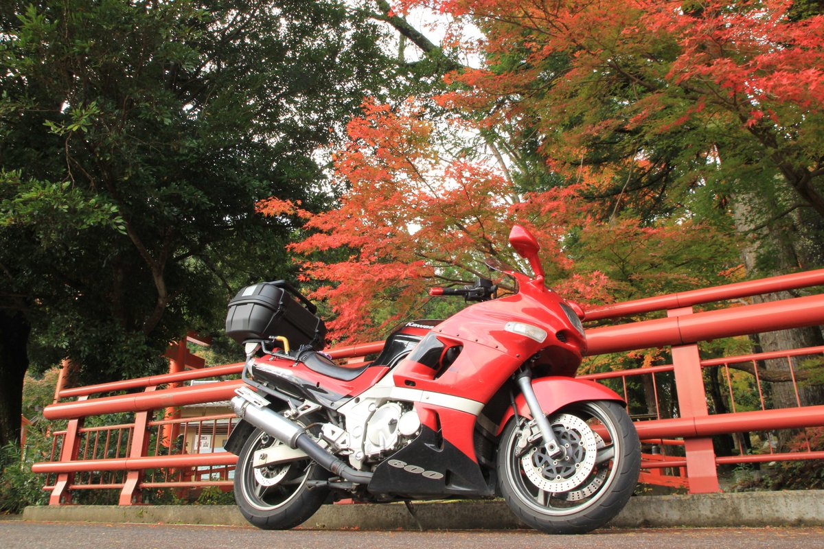 hamZZR600's tweet photo. 歴代愛車達
初代　：GPX250R2（新車→約11万km）
二代目：GPX250R2（約3万km→約6万km）
三代目：ZZR400N1（約3万km→約10万km）
四代目：ZZR600E7（3.2万km→9.6万km）
五代目：ZZR600E6（1.7万km→8.7万km）
六代目：ZZR600E3（1.9万km～
予備機：W800（3.2万km～ https://t.co/xWYQFWO3v8