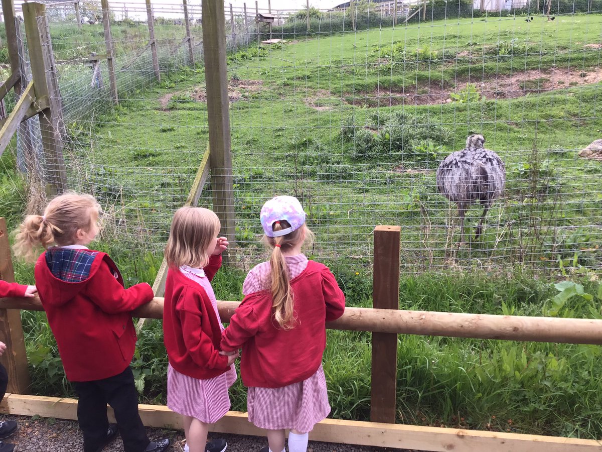 Monkhouse1's tweet photo. To enhance our learning about animals, Reception enjoyed a fantastic trip to @NorthCountryZoo we especially loved the snow leopard! #MHPSReception #STEM #UnderstandingWorld https://t.co/uj7SJjiSCC