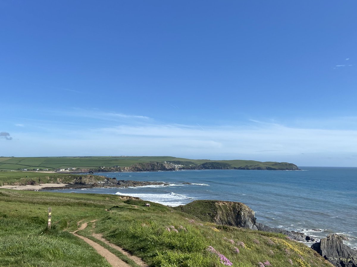 BPaxhaven's tweet photo. We’re open for guests and the weather is just great! #staycation #hopecove #devon #bedandbreakfast #holidays https://t.co/YmgZHsI4VS