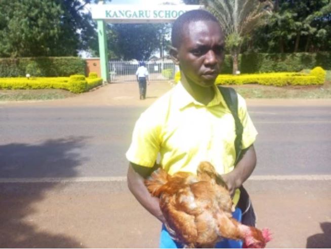 citizentvkenya's tweet photo. Form One Student Takes Cockerel To School As Payment For Ksh.48K Fee
https://t.co/WKBow645FH https://t.co/DEk5nClTfU