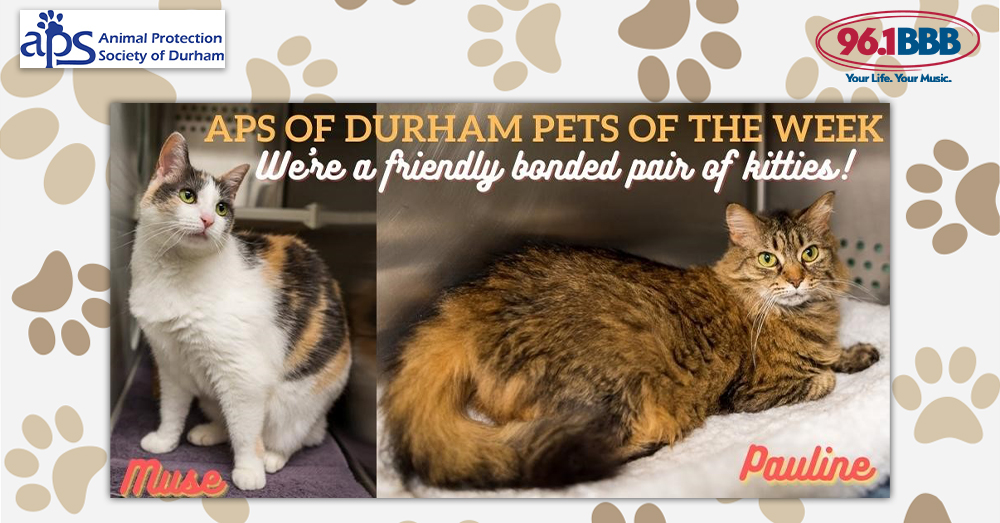 APS of Durham tweet media