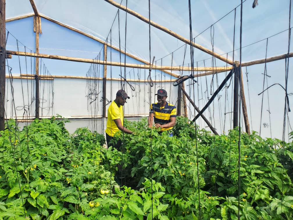 It is neither an assumption nor a myth, but a fact that with the correct crop protection and nutrition solutions exceptional yields can be obtained. Scale up, even when your capital is Limited. Remember, you can only sell and create wealth when you are selling something.