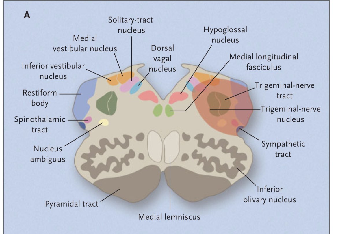 INTERNEURONA tweet media