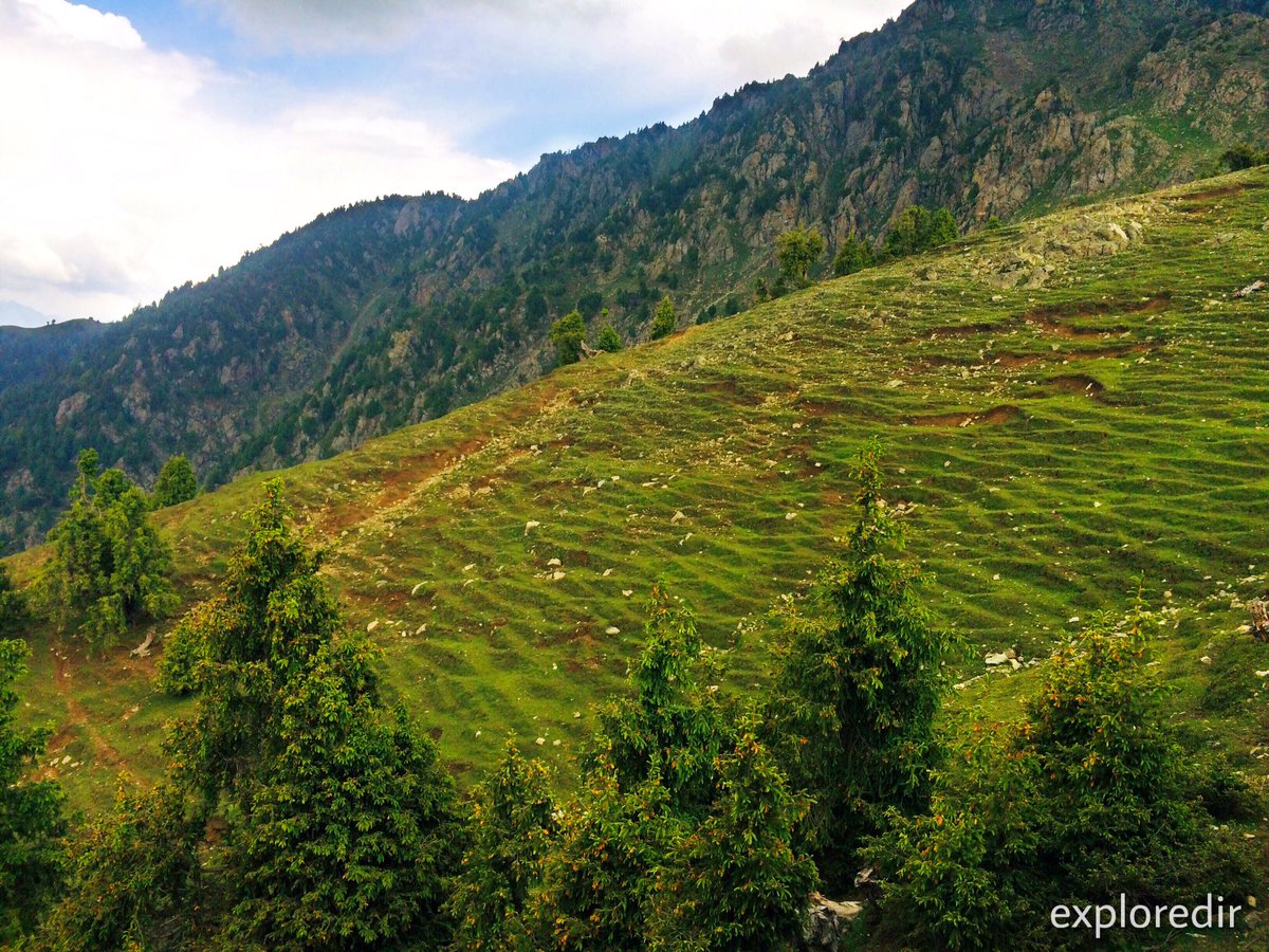 explore_dir's tweet photo. GulliBagh Maidan, Dir Lower 
2/5
#exploredir #dirisbeautiful #nature #Viral https://t.co/hcm3sxBNvo