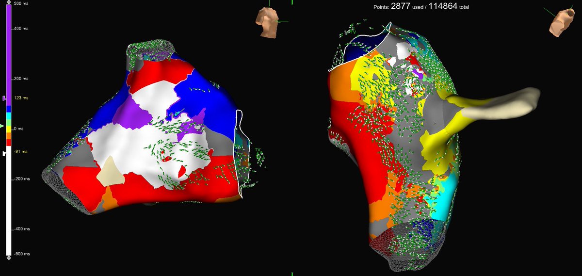Alexander Karrip tweet media