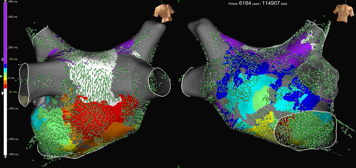 Alexander Karrip tweet media