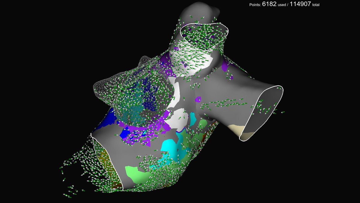 Alexander Karrip tweet media