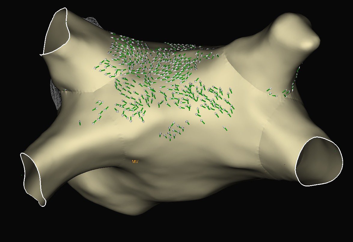 Alexander Karrip tweet media