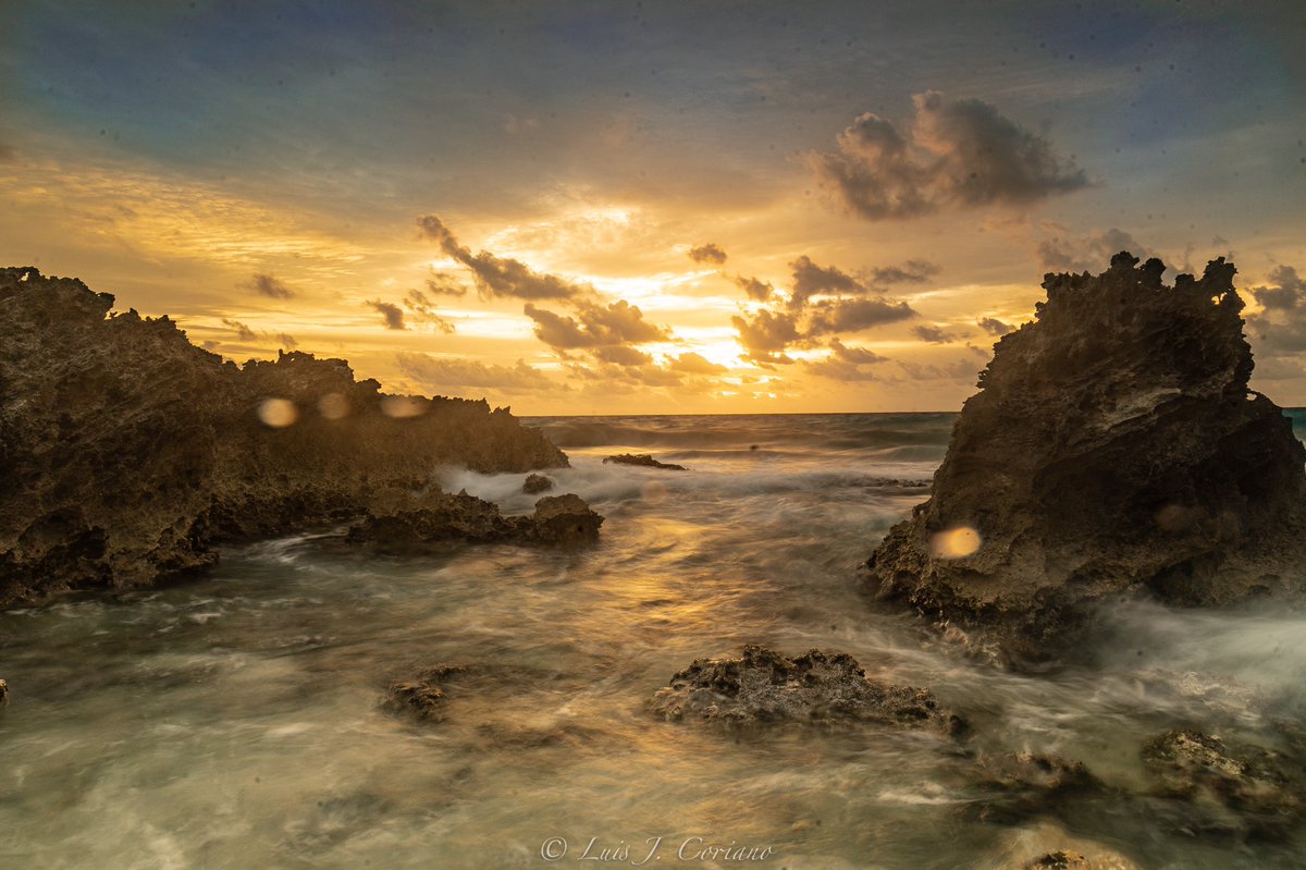 #travelphotography #travel #wildlifephotography #canonr6photography #canonphotography #natgeo #natgeoyourshot #instagood #instagram 
#photography #canonusa #NaturePhotography #byluisjcoriano
#nature #canon #Cancun #PhotoOfTheDay #photography #Mexico #picoftheday
