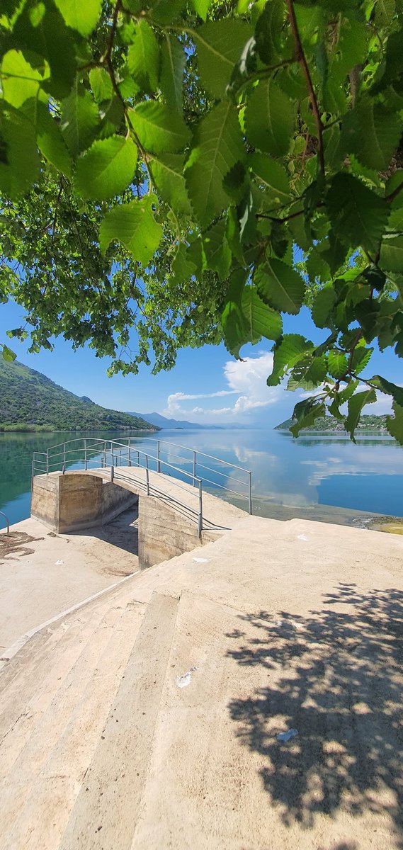 AGjenchi's tweet photo. This is my KRAJA!!!
#heaven 
#kraja 
#natyre 
#lake 
#montenegroalbanianborder
#shkoderslake
#absolutequite 
#campingfree 
#sunrise
#sunset https://t.co/UYdXk4LIvh
