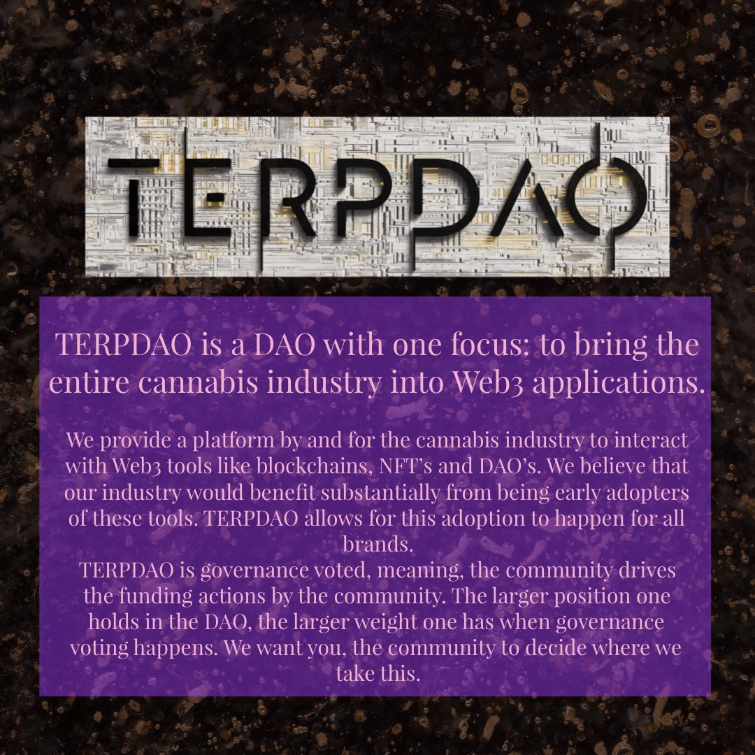 TERPDAO's tweet photo. We’re here to provide the tools so you can build. #terpdao #dao #hashpower #800lbsmantra #chronictoken #cht https://t.co/gIIIWEfvwp