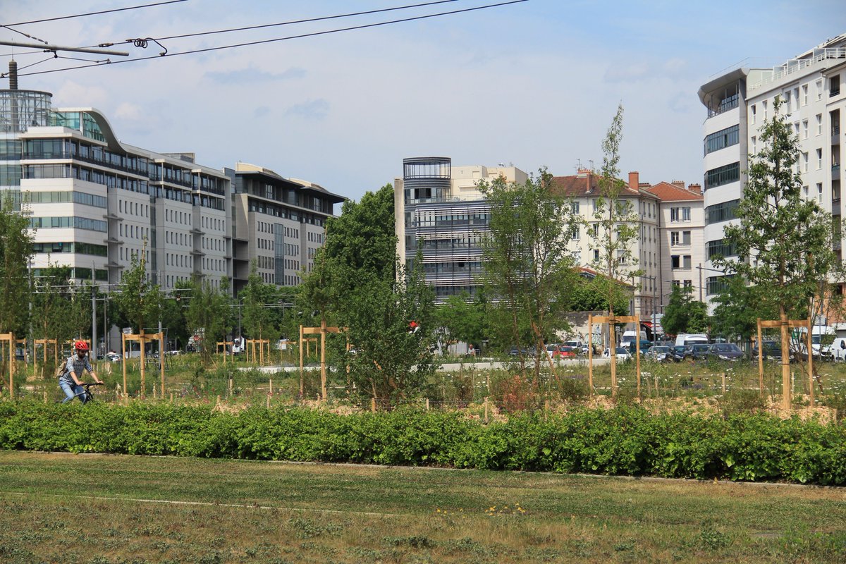 🌿Prendre en compte la multifonctionnalité des sols dans l'#aménagement et les documents d'urbanisme: les livrables du projet MUSE piloté par le #Cerema
▶ Les fiches de synthèse sur les fonctions des #sols sont en ligne...
cerema.fr/fr/actualites/…