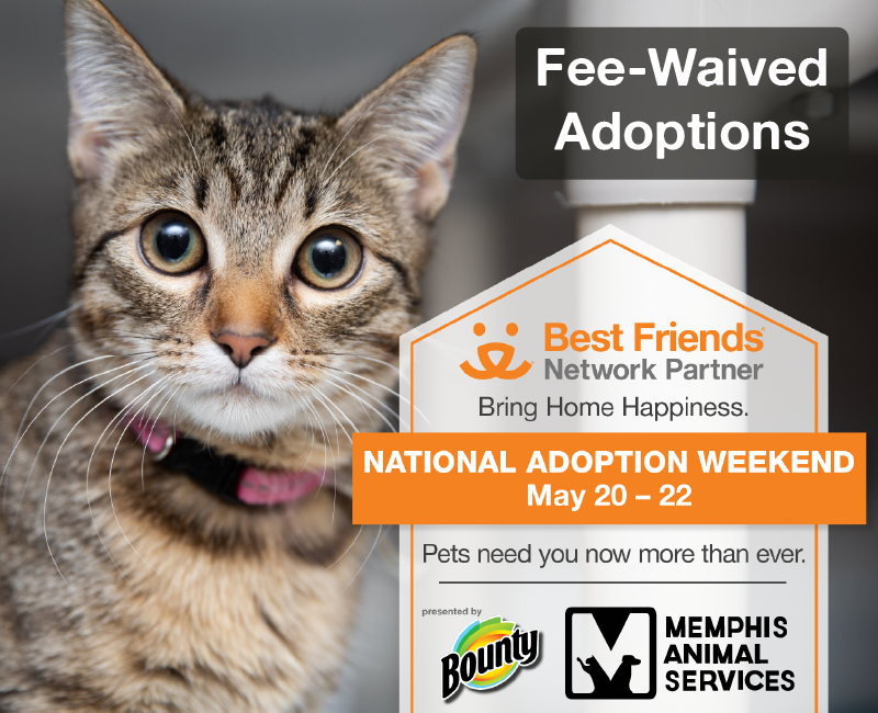 Join us for the @bestfriends national adoption event May 20-22, sponsored by @bounty! Bring home happiness for NO adoption fees May 20-22: memphistn.gov/animal-service… #BountyToTheRescue