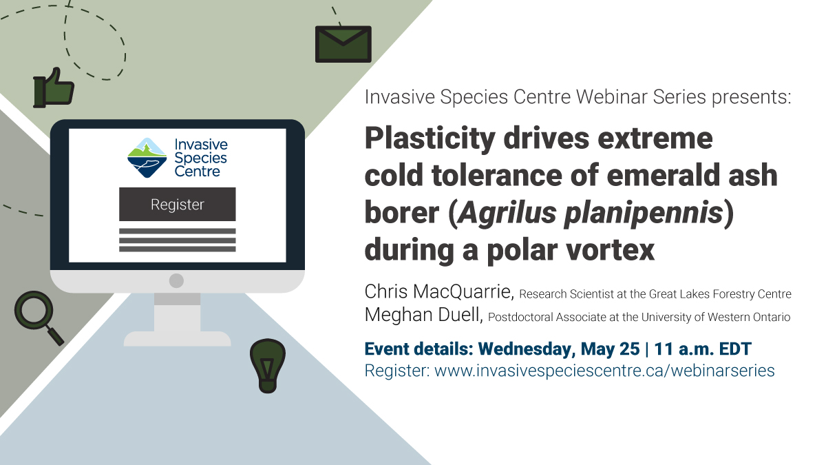 UPCOMING WEBINAR ➡️ "Plasticity drives extreme cold tolerance of emerald ash borer (Agrilus planipennis) during a polar vortex." Tune in to learn about how extreme phenotypic plasticity allowed the EAB in this study to survive temperatures as low as -50 C! bit.ly/3wlABHG