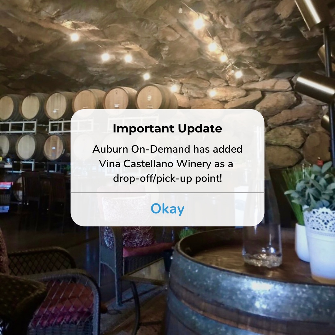 New update! We have added Vina Castellano Winery to our route 🍷 Download our app to schedule your ride today!