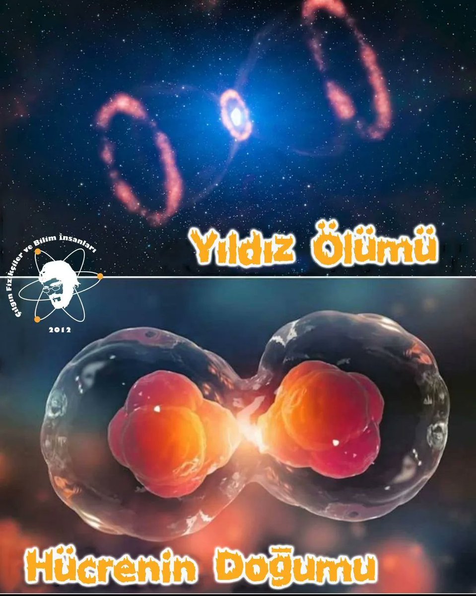 Bir yıldızın ölümü ve bir hücrenin doğuşu

#bilim #fizik #astronomi #biyoloji #kimya #doğa #yıldız #hücre