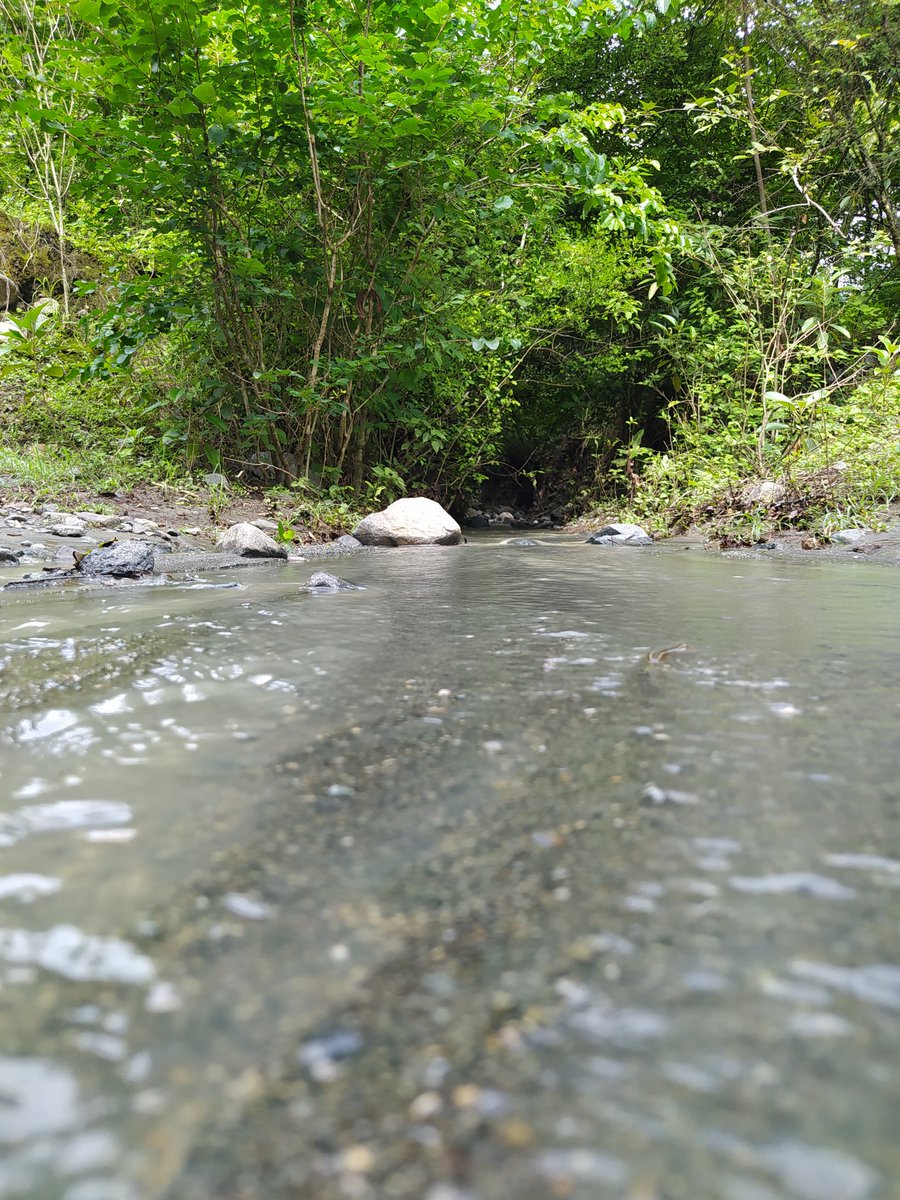 Frank Barrientos (@dfbv11diomedes) on Twitter photo 