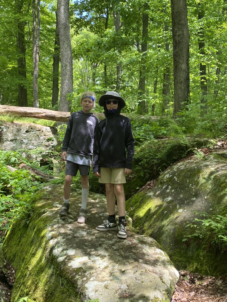 JRCallif's tweet photo. Oak @ Split Rocks https://t.co/q1WTI2HcpC