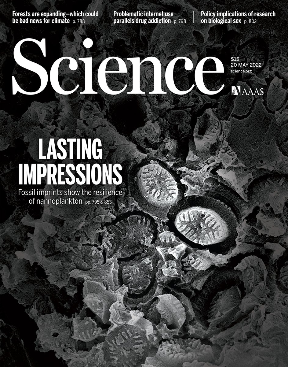 A global record of “ghost” nannofossils demonstrates that nannoplankton were more resilient to past warming events than traditional fossil evidence suggests.

Read that research and more this week in Science. ➡ fcld.ly/6eq3obt