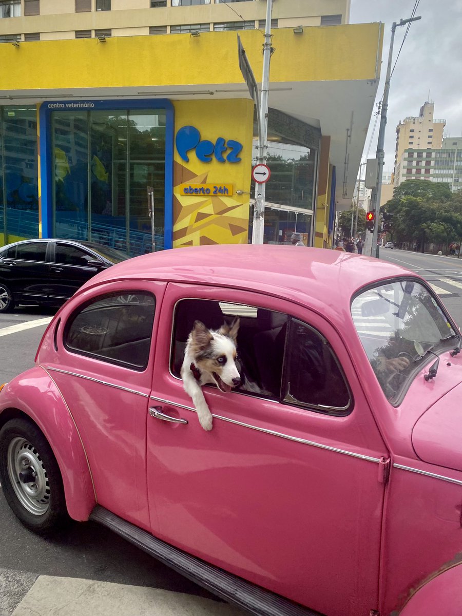 Get in loser, we’re going shopping!