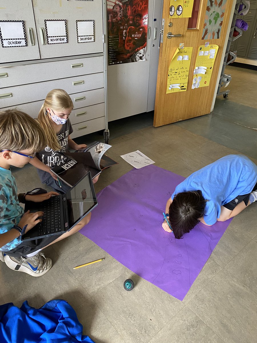 Taryn Stock tweet media