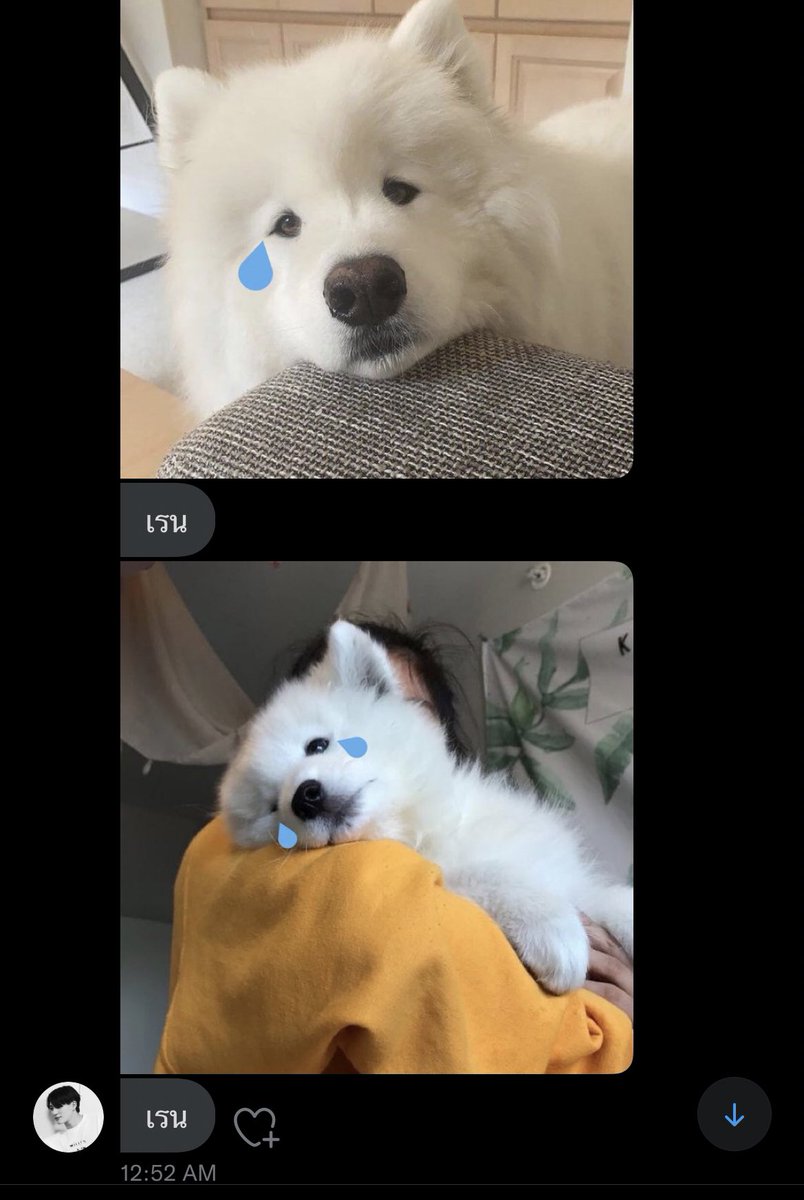 มันเหงาอะไร