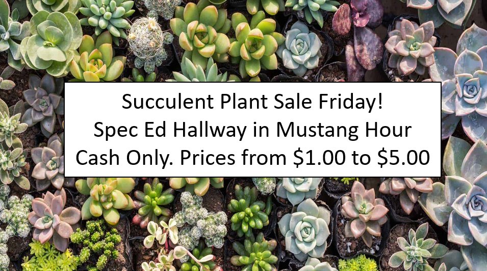 Our Life Skills students have been raising plants all year and are now ready to sell them!  Stop by during lunch on Friday!