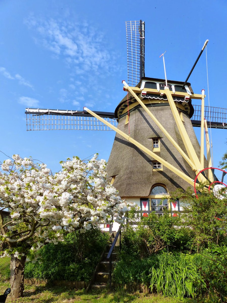 JetCandyTravel's tweet photo. If you go to the #Netherlands and don't see a #windmill, did you really even go?! But why not go one better and actually STAY in a windmill? Built in 1874 and just a bike ride away from #Amsterdam, we found this romantic windmill for our 2022 #travel edit on @Airbnb. #JetCandy https://t.co/dNszYpdcLE