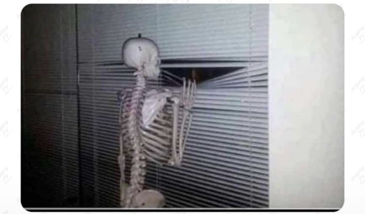 Me checking and refreshing my email to see if the editor has gotten back to me on the manuscript I submitted 🥴

<a href="/PhDVoice/">PhD Voice - Independently Run</a> #AcademicTwitter @AcademicMeming <a href="/AcademicChatter/">Academic Chatter™</a>