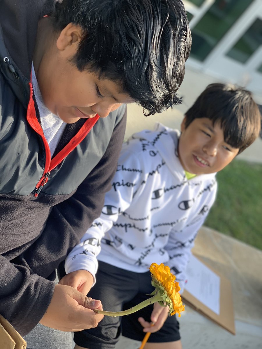 MrsBoltsClass's tweet photo. Yay garden day!! We are learning about my favorite flower!! Gonna miss these moments!! #lastdaysof5thgrade @MsValentin_ @BaneElementary @cdiazcfisd @SharonTipping6 @readygrowgarden @CookRTGG https://t.co/Vjyja6LarN