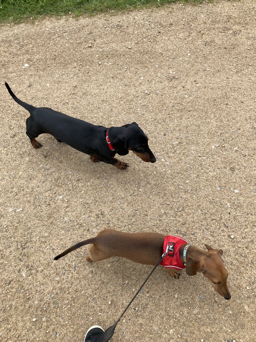 Sebastian tweet media