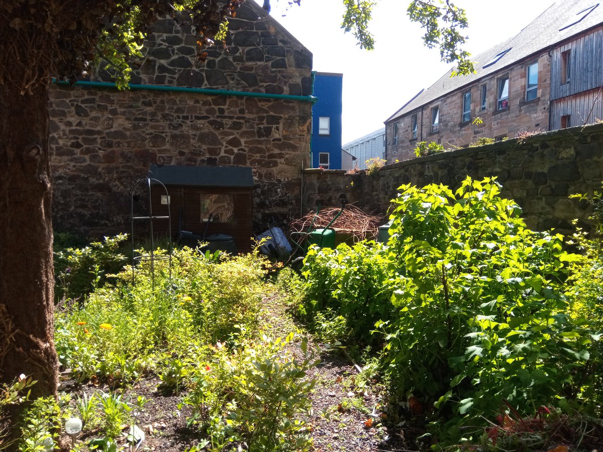 Week 4 of Embodied,our connecting and empowering project-great energy sparked by plans to transform this amazing space into a haven for peace and healing,helped by the wonderful <a href="/edintoollibrary/">E'burgh Tool Library</a> <a href="/ECY_Yoga/">Edinburgh Community Yoga</a> @CatrionaGrant <a href="/QNI_Scotland/">QNIS</a> <a href="/REAS_NHSLothian/">REAS</a>