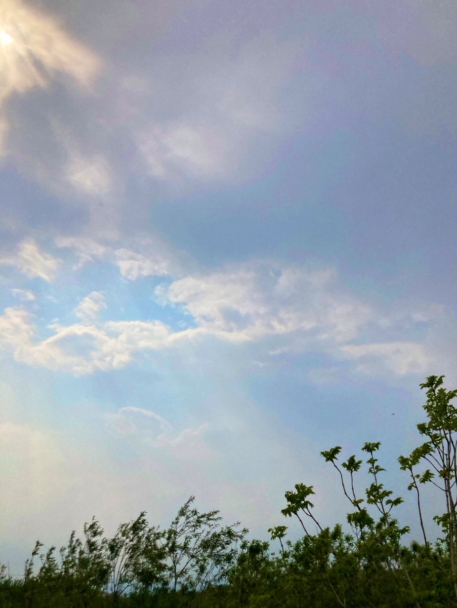 🌕 今日は病院2箇所松葉杖で診察 凄く疲れてしまいました リハビリゆっくり頑張っているものの 急がないと後遺症がでてしまう部位もあり不安にかられ わ〜っと😭泣き出してしまった 泣き疲れて寝ます