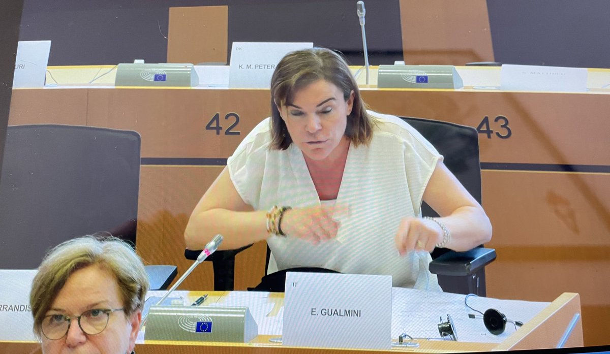 _MiraMaria_'s tweet photo. 📣Platform work directive in @EPSocialAffairs discussions. Strong concerns expressed over EP draft . 

@LNicholsonova: we should not automatically classify platform work as employment relationship‼️

@Laurinkari from Wolt regrets that platform workers views not heard in the 🇪🇺. https://t.co/lseveZW4g3