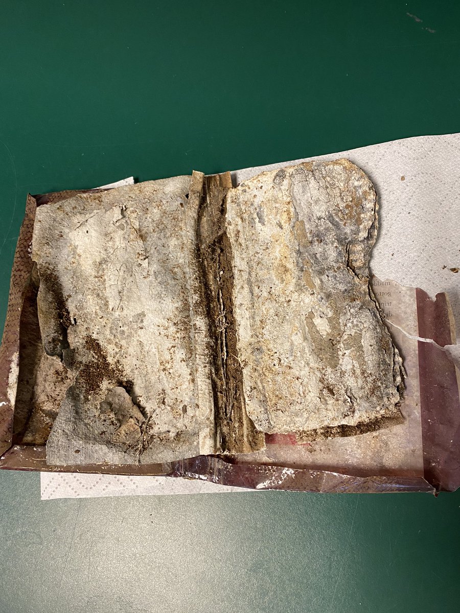 Canyon Vista Library tweet media