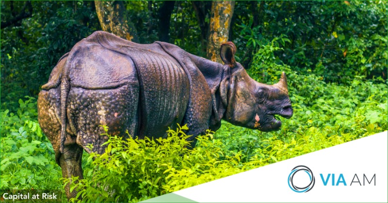 VIAAM_'s tweet photo. VIA AM est fière de travailler à nouveau avec @eden_reforest en soutenant leurs projets de reforestation. A ce jour, VIA AM a permis de planter 14 423 arbres. Apprenez-en plus à propos de nos initiatives ESG > https://t.co/FrAJHYfwyo.
#communicationmarketing #reforestation #ESG
