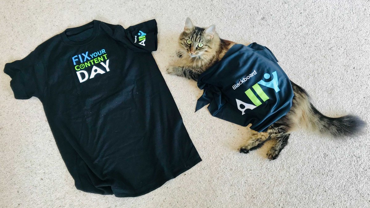 Matching #FixYourContent Day outfits today! 

#FYCD #BbAlly #GAAD #petsofAlly