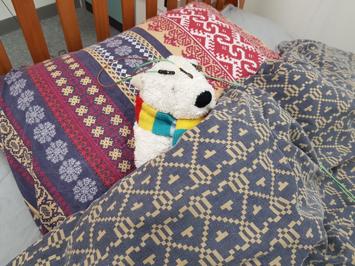CUBRICcardiff's tweet photo. A few more pictures of Ollie's teddy's big day out at CUBRIC! ๐งธ His head was a bit small for the electrode cap so we had to abort! #CUBRIC #MRI #MEG #EEG #brain #scan #research #imaging #scientist #cardiff #cardiffuni #neuroscience #science #teddy #competiton #winner https://t.co/Ag8OCx0zQf