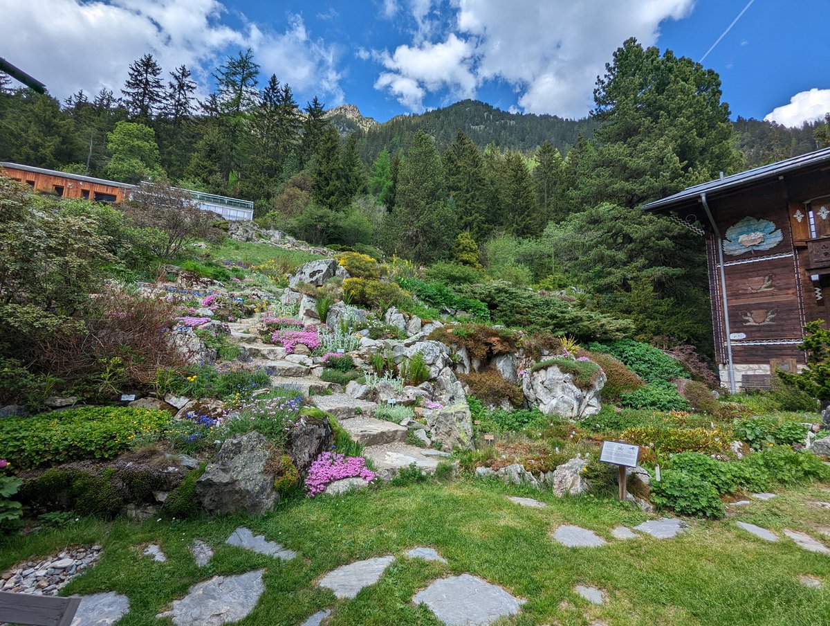 museomixCH's tweet photo. En préparation du #FloreLab des prochains 3 jours au jardin botanique alpin Flore-Alpe, une nouvelle déclinaison du concept de @museomix https://t.co/RdpCfQ4sU9