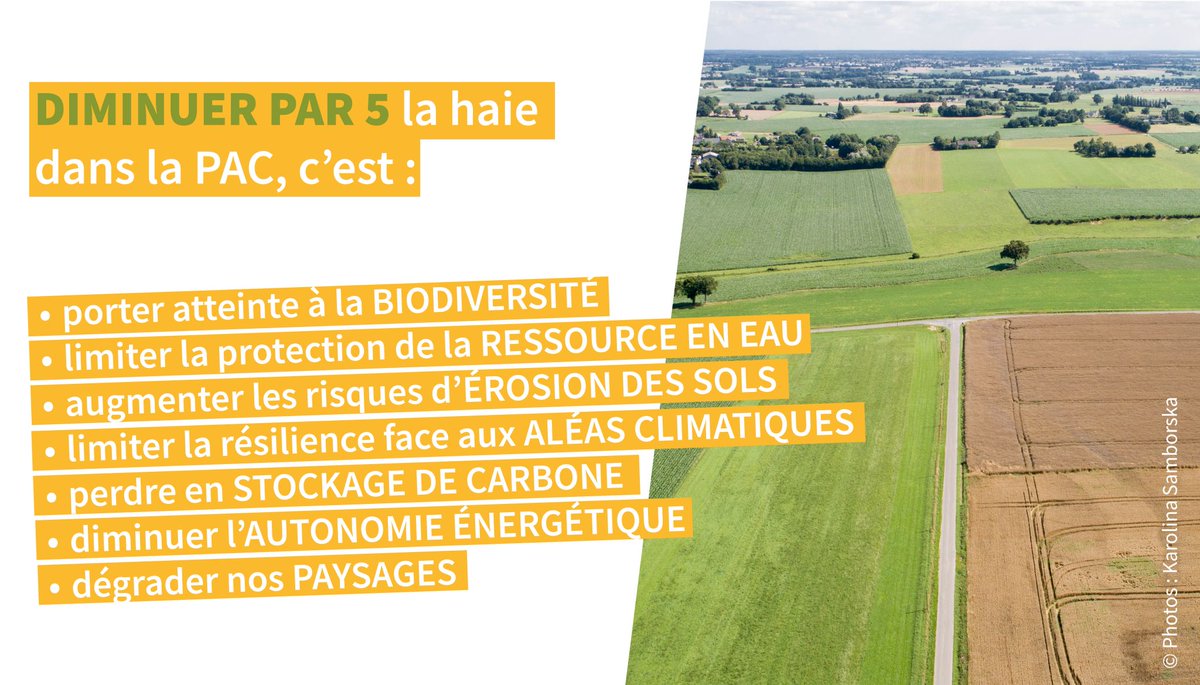 Co-fondateur du @FondspourlArbre, nous soutenons la démarche de l'@afacagrofo qui s'adresse à Mme @Elisabeth_Borne pour faire réagir le plus grand nombre sur la place de la haie dans la future Politique Agricole Commune ! 📢Mobilisons-nous ➡ urlz.fr/ijTW