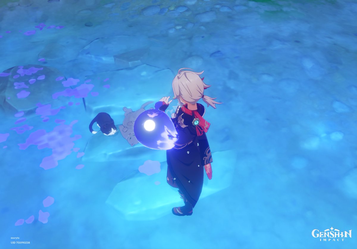 TenkoMary's tweet photo. What are these cats doing in the water? 😐 
#GenshinImpact https://t.co/PNSQIoatN8