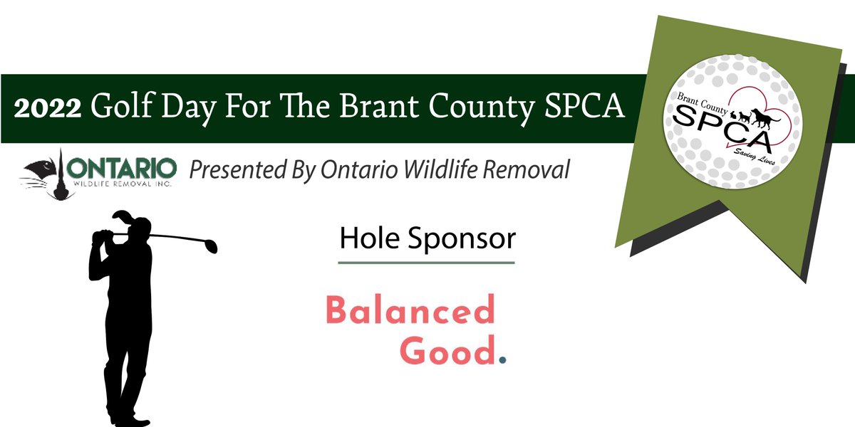 Brant County SPCA tweet media