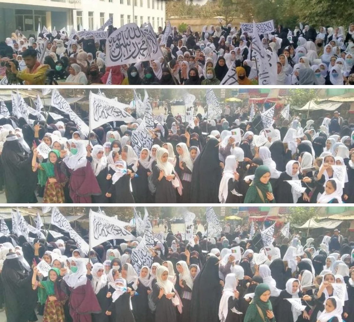 داسى تصويران په ټامېانو ډير بد لګيږى مه سوزى