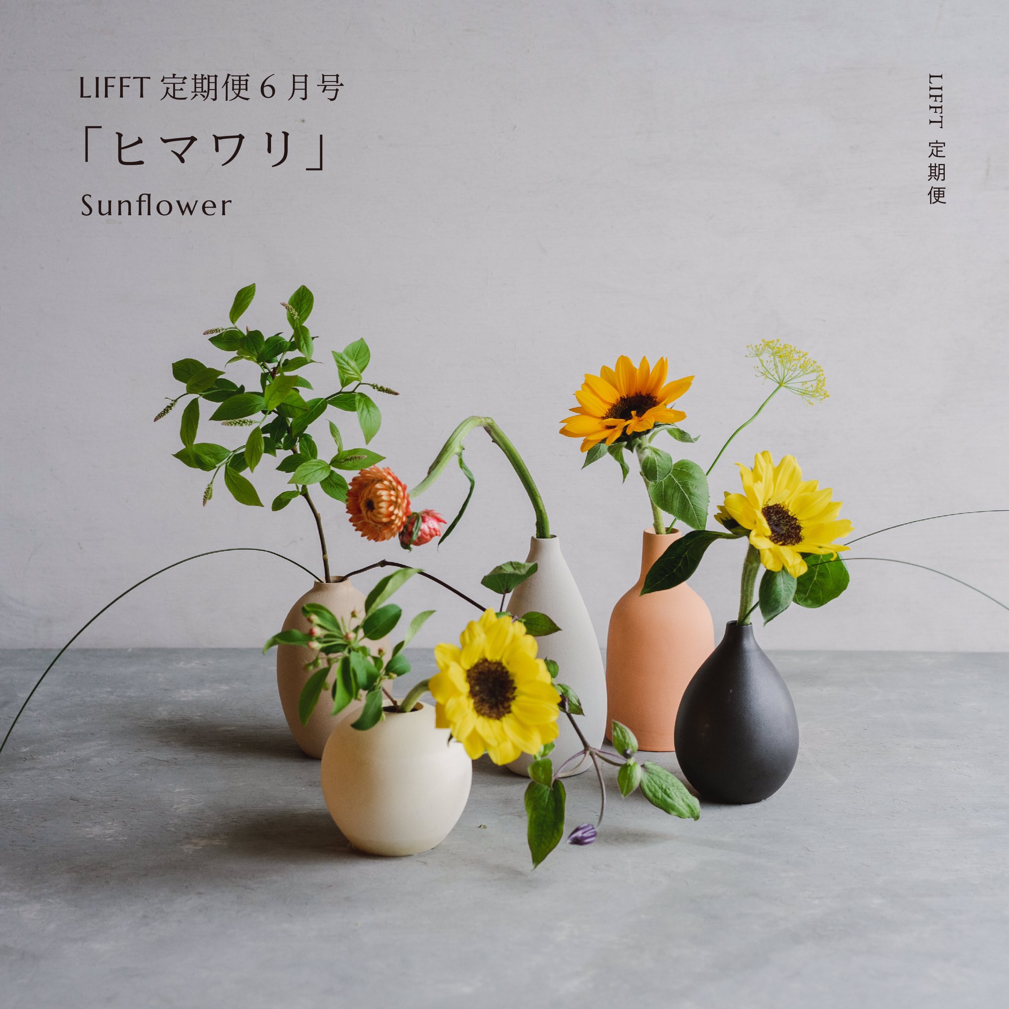 Lifft Lifft定期便6月号では 千葉県 館山市の ヤマキ花卉園 で栽培された高品質なヒマワリを特集します 内容は ベーシックな黄 オレンジ色のヒマワリ2種類に加えて この季節にしか楽しめないブルーベリーやコバノズイナ 爽やかなクレマチスや
