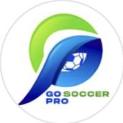 GoSoccerPro's tweet photo. #NewProfilePic https://t.co/mQfyq23FPC