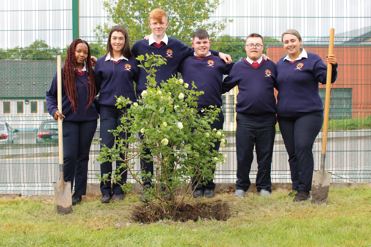 St Clares College, Ballyjamesduff tweet media