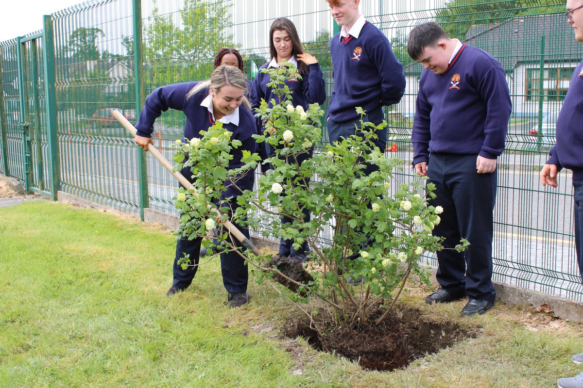 St Clares College, Ballyjamesduff tweet media