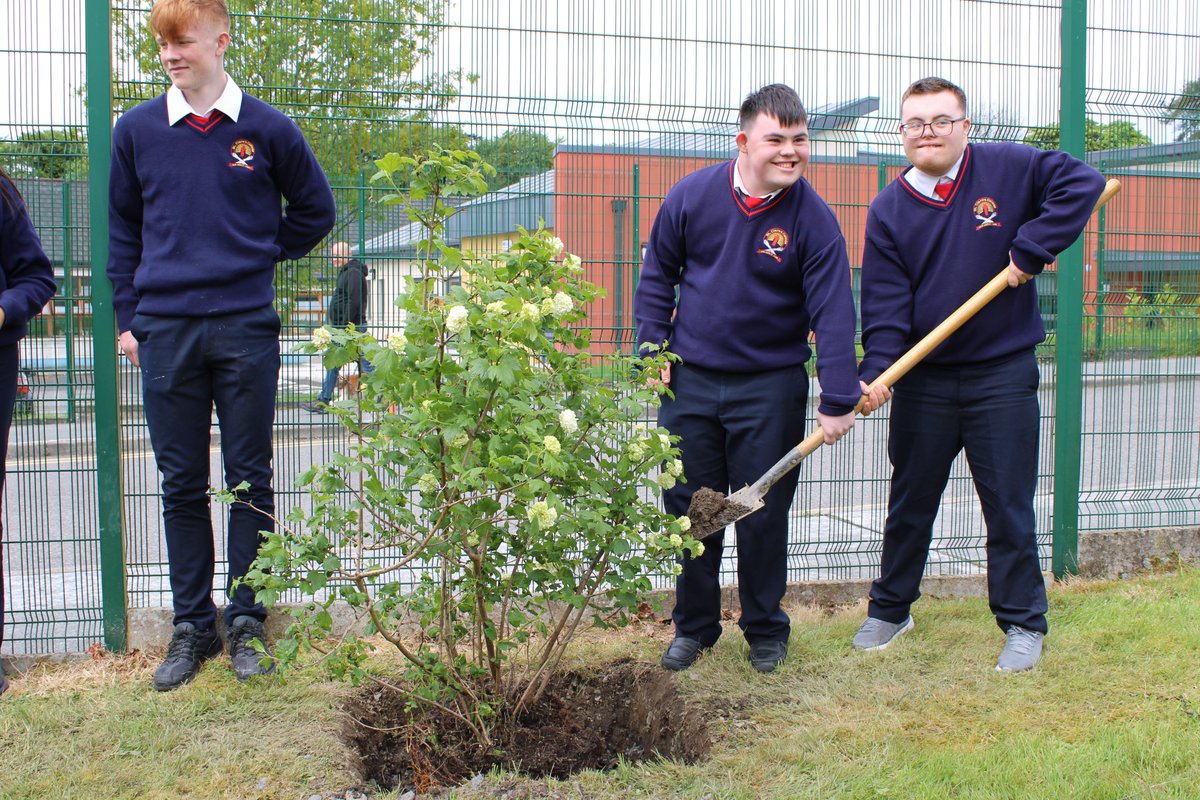 St Clares College, Ballyjamesduff tweet media